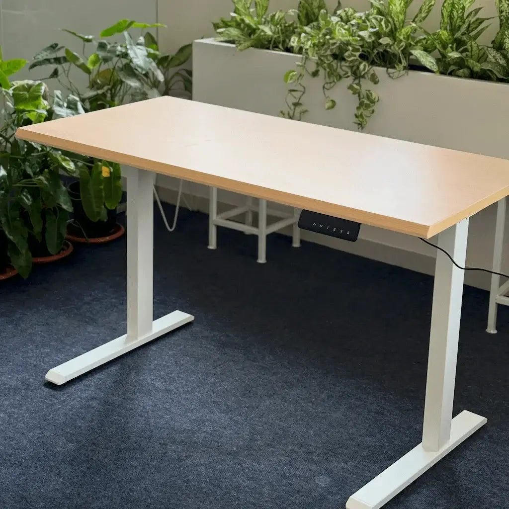 Standing Desk